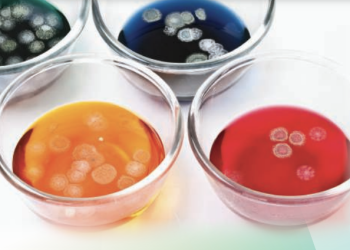 Biocide-free Waterborne Coatings Preservation